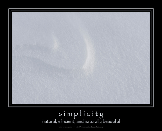 poster001a inspiration -silence a -snow abstract 20 -34x27 copy