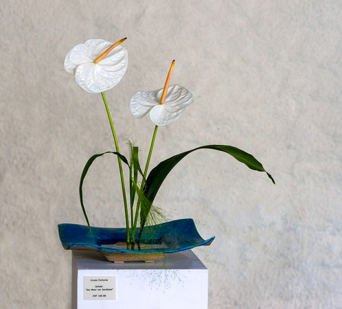 PH1581a pottery ursula flower dish w anthurium zf-3683