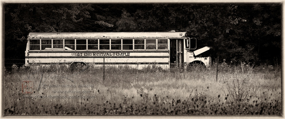 PH1344a old school bus -8365