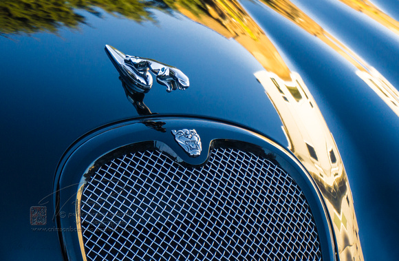 PH2195a automobile Jaguar hood ornament -1
