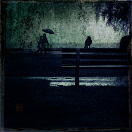 PH2468a folio DreamVision crow on park bench with pedestrian in rain -7241--5
