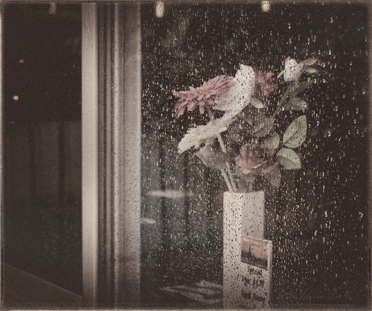 PH2481a flowers behind rainy window 17x14@300 wsg zf-7181