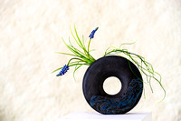 PH1580a pottery ursula circle w hyacinth -3684
