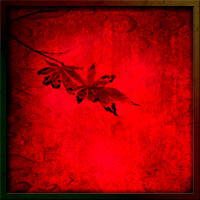 PH2044a autumn foliage red japanese maple Karya park Mississauga sfx BG BG zf-9704