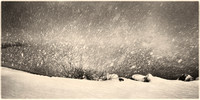 PH2686a folio Vancouver FotoGrafika Snow storm at Kitsilano beach PH2686a 30x15@300 ns zf-4644--51