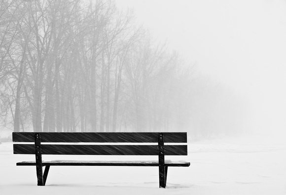 PH200a bench in snow storm 2 -21x14-0881