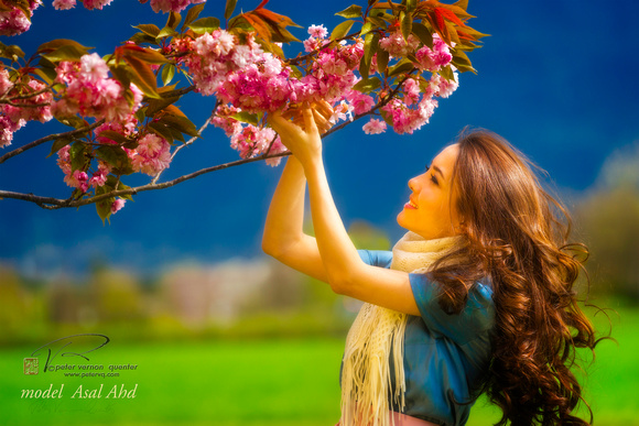PH ppl model Asal Ahd with sakura cherry blossoms pfx zf-3653