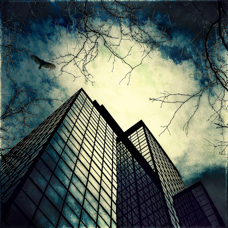 PH2176a architecture abstract highrise and branches BGcirrhus cumulus PH turkvult 6428 sfx zf   -3379-80