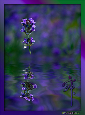 card M flower lavender PH1276a -8304-9
