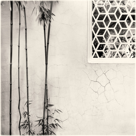 PH2459a folio SunYatSen ChineseGarden bamboo and leak window 3 -0413-4-17--20