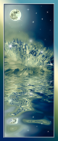 PH1244a dandelion w moon card starry reflection -3065