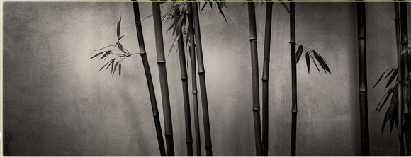 PH2453a folio Dr SunYat Sen Classical Chinese Garden zen bamboo -0397--41