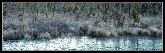 PH226a frozen creek 1 panorama -33x10