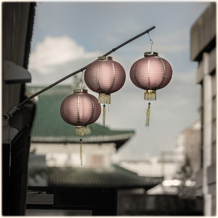 PH2586b Chinese Lanterns Chinatown sfx -0394--7