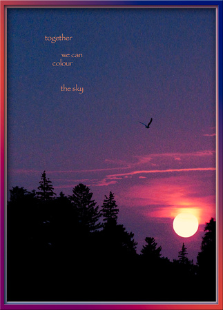 M K142a PH08356a sunset w gull colouring the sky with you    card -10