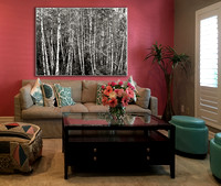 PH webstore display sample living room 2 pink-wall BirchGrove  -1786179