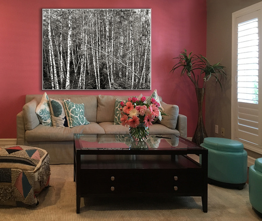 PH webstore display sample living room 2 pink-wall BirchGrove  -1786179
