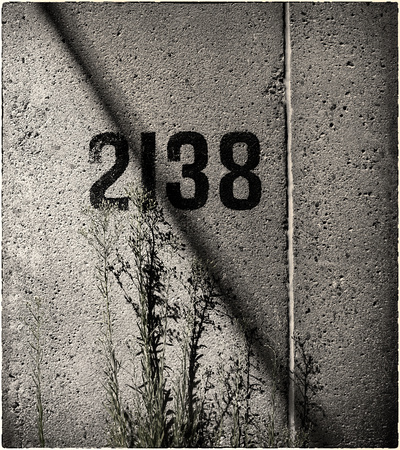 PH2525a folio urban nature 2138 with weeds -1000--7