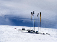 PH995a ski poles -1084