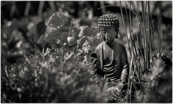 PH2692a Buddha statue in summer garden PH2692a 20x12@300 ns zf-5762-3