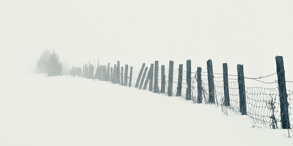 PH211a fence in winter 1 -18x9-0844