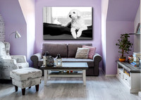 CB Work Adv ArtPhotography sample  living room subha 4 Fujo-R-I wide 7x5@300