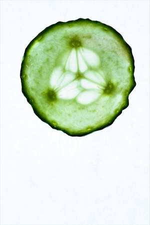 PH1199a cucumber slice -0644