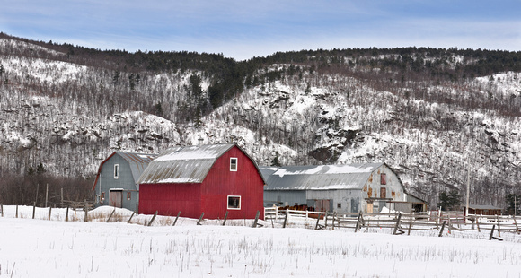 PH317a barn in winter 5 panorama -25x13 -1307