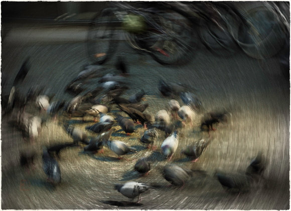 PH2007a folio life is a blur vancouver abstract blur pigeons feeding granville street sfx zf-0407